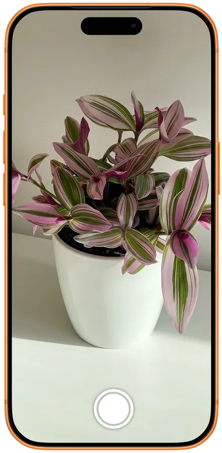 Plenova scanning a houseplant