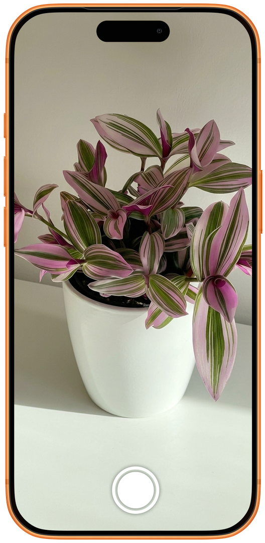 Plenova scanning a houseplant